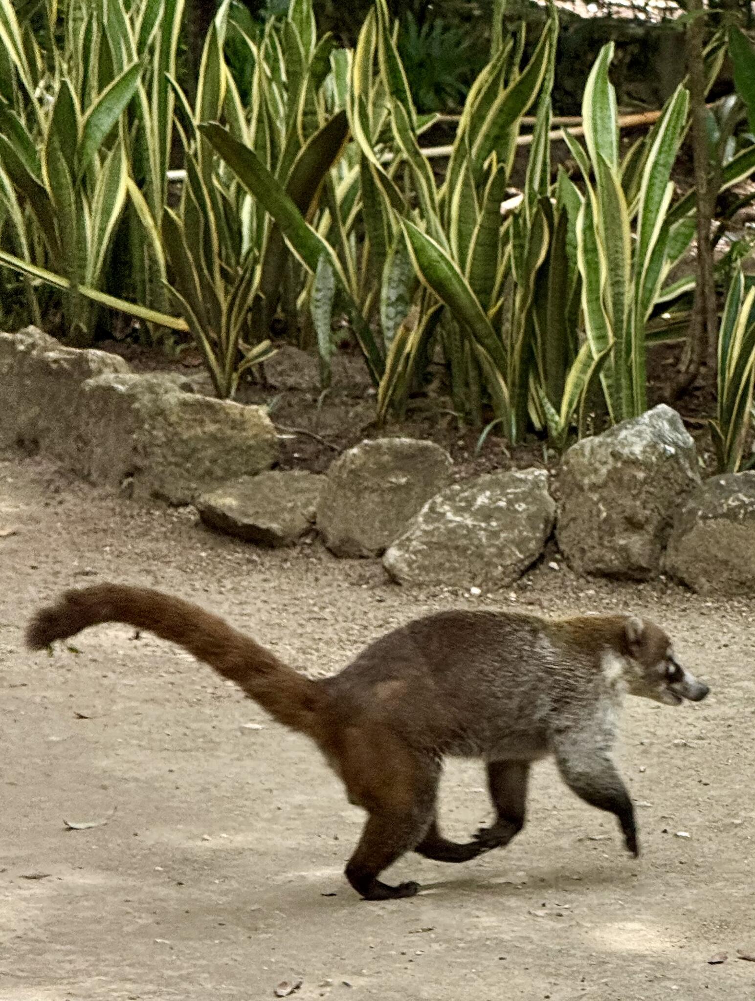 Parque Ecologico Kabah